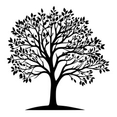 Obraz premium Black silhouette of a tree with leaves on a white background 