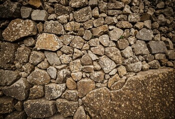 Fototapeta premium A stone wall with a small plant growing out of it.