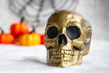 Halloween skull banner background with bokeh, blur pumpkins , white background 