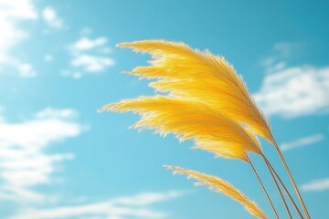 ears of wheat on blue sky background