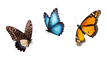 Fototapeta premium Butterflies in Flight Set of Three Different Poses on Transparent Background for Wildlife Design, Nature Marketing, or Insect Photography