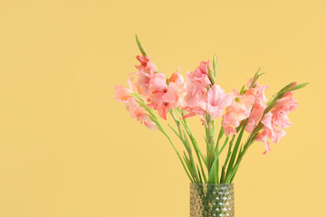 Glass vase with bouquet of beautiful gladiolus flowers on yellow background