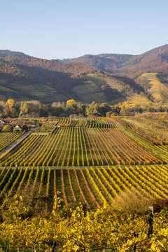 UNESCO Weltkulturerbe, Wachau, Weissenkirchen, NIeder&ouml;sterreich