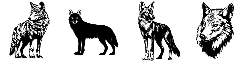 Various wolf illustrations showcasing different breeds and styles in black and white