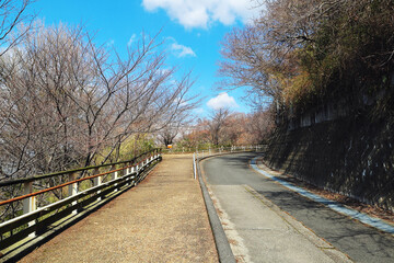 生駒山・らくらく登山道