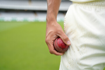 Caucasian male adult holding cricket ball on field