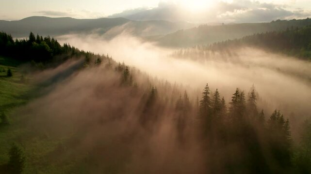 Aerial view. Sunlight filters through mist, casting long shadows over dense forest below. Hills in distance add depth to scene, creating serene and mystical atmosphere as clouds roll over landscape.