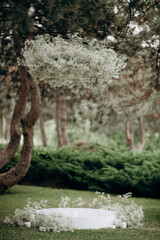 A suspended cloud of white gypsophila flowers hovers above a white platform amidst a lush green...