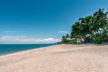 静かな熱帯のビーチ 青い海とヤシの木が広がる楽園の風景