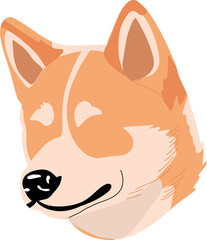 Shiba Inu Dog
