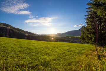 Grüne Wiese, Steiermark, Österreich, 2015, Thal
