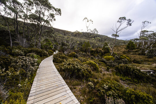 The stunning Lake Dobson on the Pandani Grove Nature Walk on a cold summer's afternoon in Tasmania,