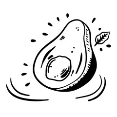 Avocado food exotic fruit. Outlines drawing