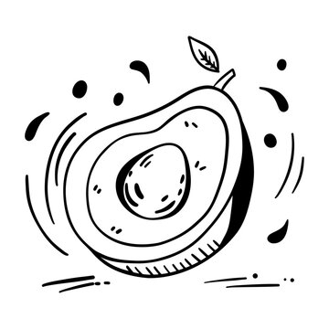 recommend clip art: Avocado food exotic fruit. Outlines drawing