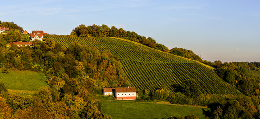 Römerstrasse, Weinbaugebiet Sausal, Steiermark, Österreich, 20