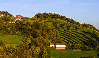 Römerstrasse, Weinbaugebiet Sausal, Steiermark, Österreich, 20