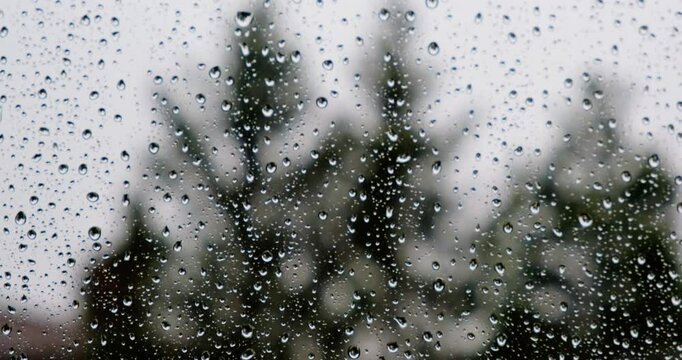 raindrops on window