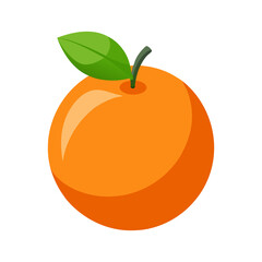 Orange fruit vector illustration on a white background
