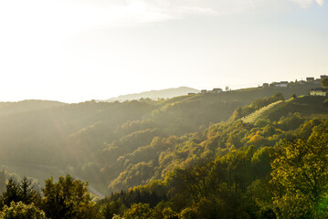 Obraz premium Römerstrasse, Weinbaugebiet Sausal, Steiermark, Österreich, 20