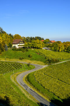Weingut St&ouml;ckl Peter, Schilcher Weinstrasse, Deutschlandsberg,
