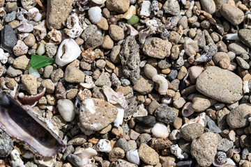 pebbles on the beach