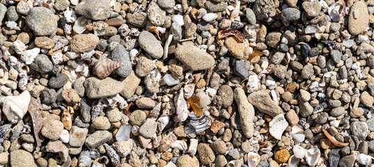 sea ​​pebbles on the seashore, can be used as a background, texture
