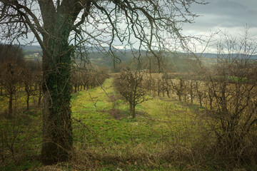Early spring in central Serbia