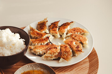 手作りの焼き餃子と白ごはん