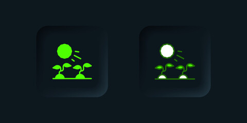 Green Plant sprouts grow in the sun icon isolated on black background. Seedling concept. Black square button. Vector