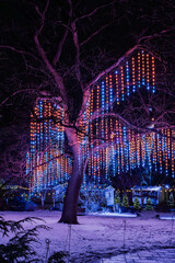 Royal Botanical Garden of Burlington illuminated during Christmas time. A luminous fairytale...