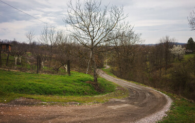 Fototapeta premium Country road in central Serbia