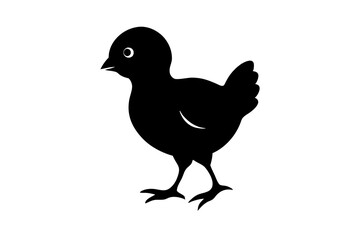 Obraz premium silhouette of a bird