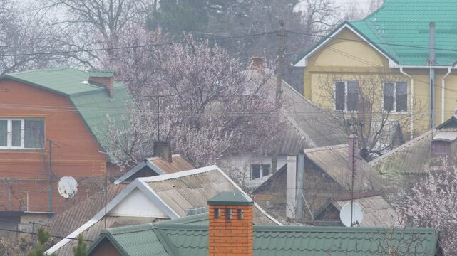 Green-roofed houses in a suburban neighborhood during early spring with blooming trees and misty air. A light stream of steam rises from a chimney, adding to the peaceful morning atmosphere.