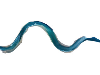 Isolated Curvy River Section
