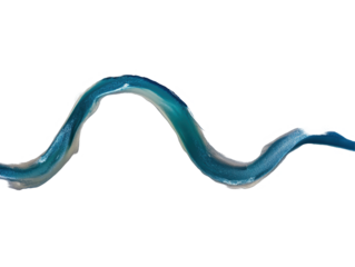 Isolated Curvy River Section