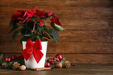 Beautiful Christmas plant poinsettia, decorations and spices on wooden background