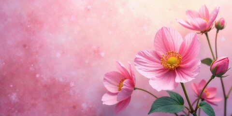 Fototapeta premium Delicate Pink Blooms Against a Soft Pastel Background, Ideal for Feminine Designs and Springtime Celebrations