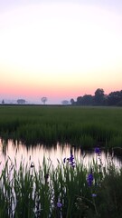 Fototapeta premium Tranquil Sunrise Over Rural Landscape