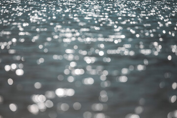 landscape and nature photograph shot during a summer journey in canada, with lakes, rocky mountains, animals and clouds through wide pine tree forests