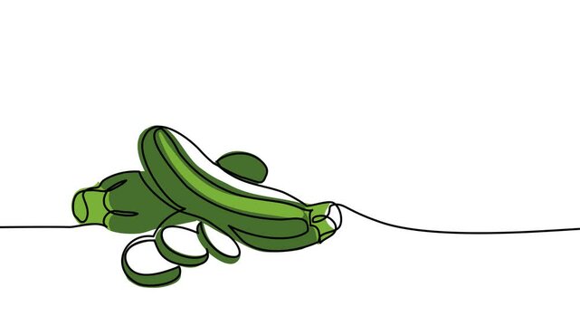 Zucchini, green marrow, courgette or squash single line animated illustration. One continuous self drawing line animation, footage of zucchini