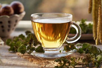 A cup of herbal tea with fresh wild nettle leaves collected in early spring