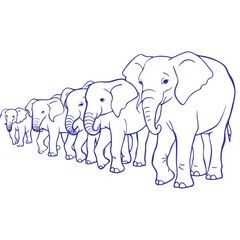 elephant---elephant-herd-walking-in-a-row-.eps