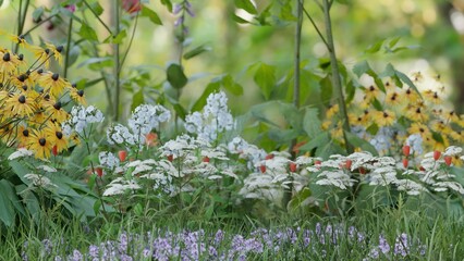 庭先の草木の3Dイラスト