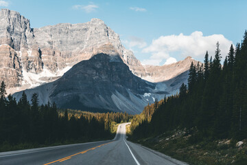 landscape and nature photograph shot during a summer journey in canada, with lakes, rocky mountains, animals and clouds through wide pine tree forests