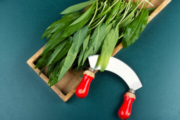 Ramps, green wild leeks.