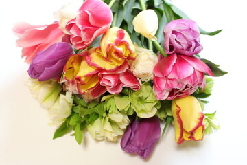 明るく色鮮やかなチューリップの花束。白バックで八重咲き、フリル咲きなど色々な品種でアレンジ