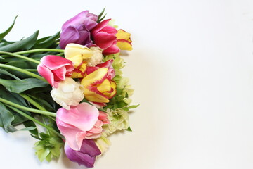 明るく色鮮やかなチューリップの花束。白バックで八重咲き、フリル咲きなど色々な品種でアレンジ