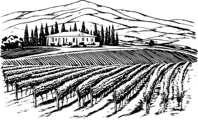 Vineyards landscapes sketched abstract digital illustration