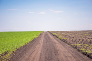 Rural path between agricultural fields on a spring, horizon line