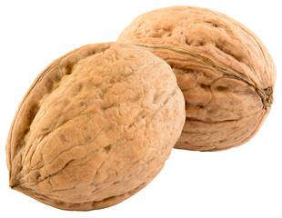 Walnut isolated png. Unpeeled walnut on white or transparent background. Perfect retouched two walnuts with shell no background. Side view nut. Full depth of field.